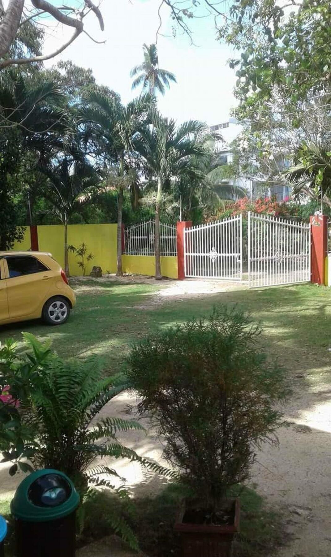 Traville Huts Palm Beach Inn Panglao City Exterior foto